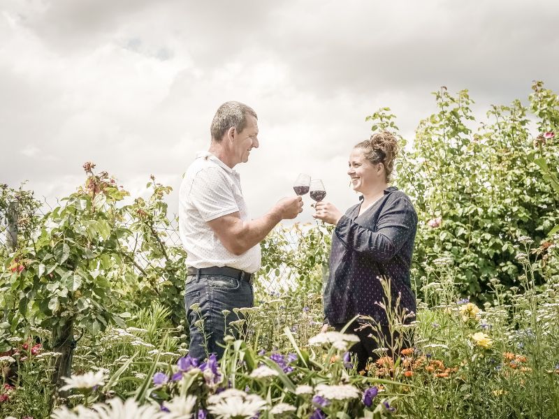 Caroline et David Bertrand - Vignoble Saint-Nicolas de Bourgueil Angers