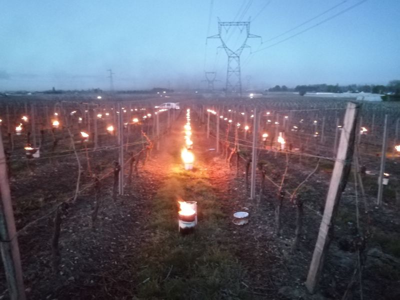 Cuvée Simon Saint nicolas de bourgueil Tours