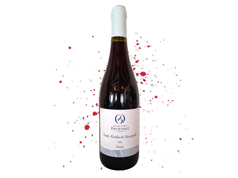 domaine viticole Saint-Nicolas-de-Bourgueil Tours