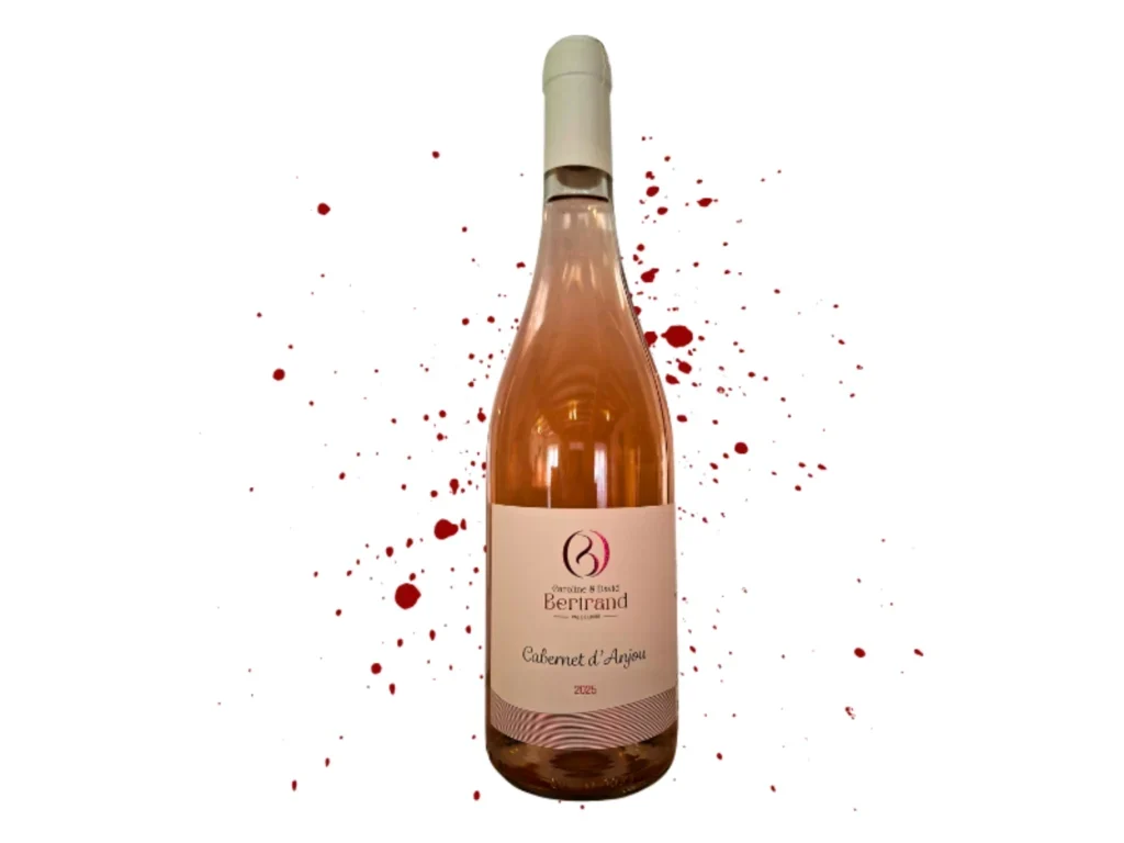 Saint-Nicolas-de-Bourgueil Tours